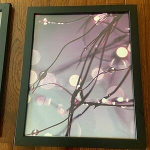 Wall‎ Art - Three (3) Photography Pictures